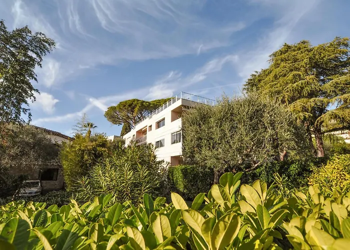 Awesome Apartment In Cannes With Kitchen